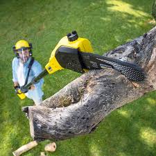 Best Lawn Pest Prevention  in Gardena, CA